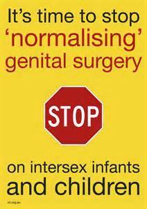 12027775_424920041037473_4744318923717105916_n