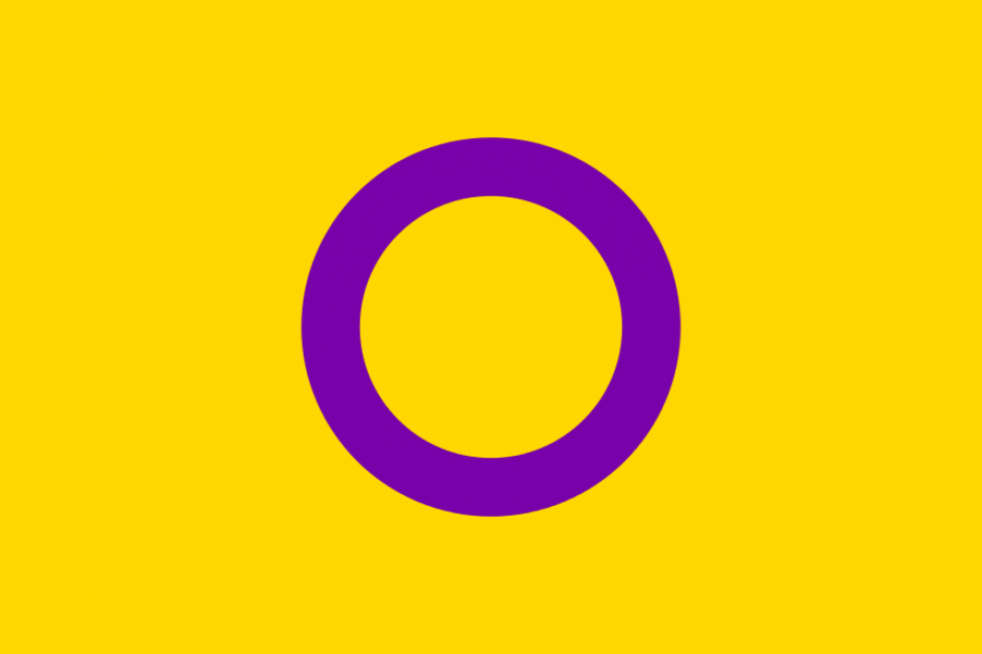 cropped-cropped-cropped-cropped-intersex_flag-svg1.png