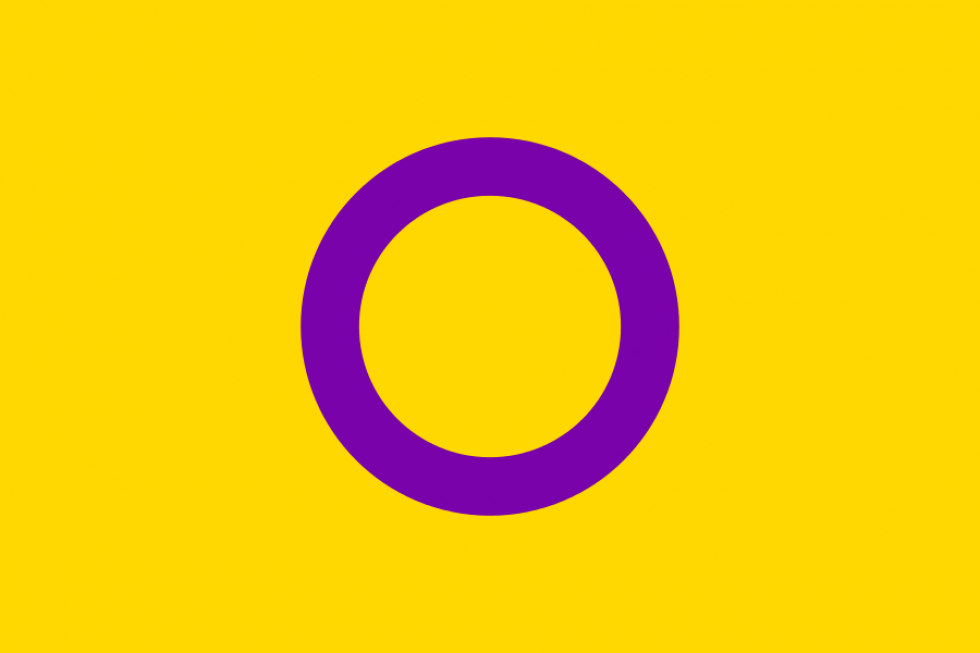 cropped-cropped-cropped-intersex_flag-svg1.png