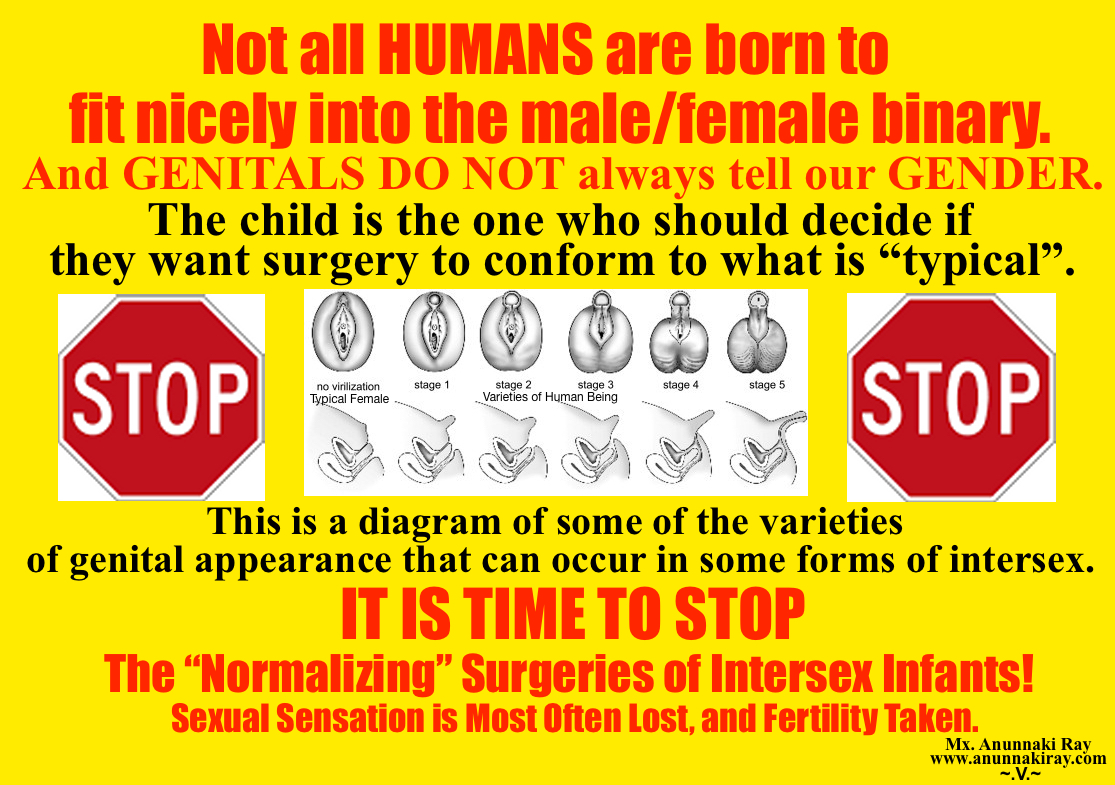 Intersex E621