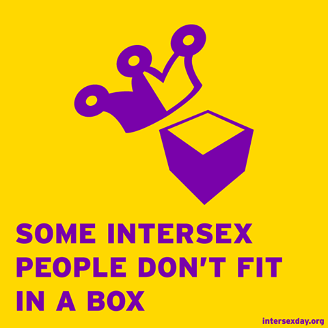 12512330_1685709568352410_1161771864637361706_n