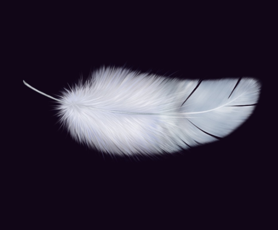 Feather on Black