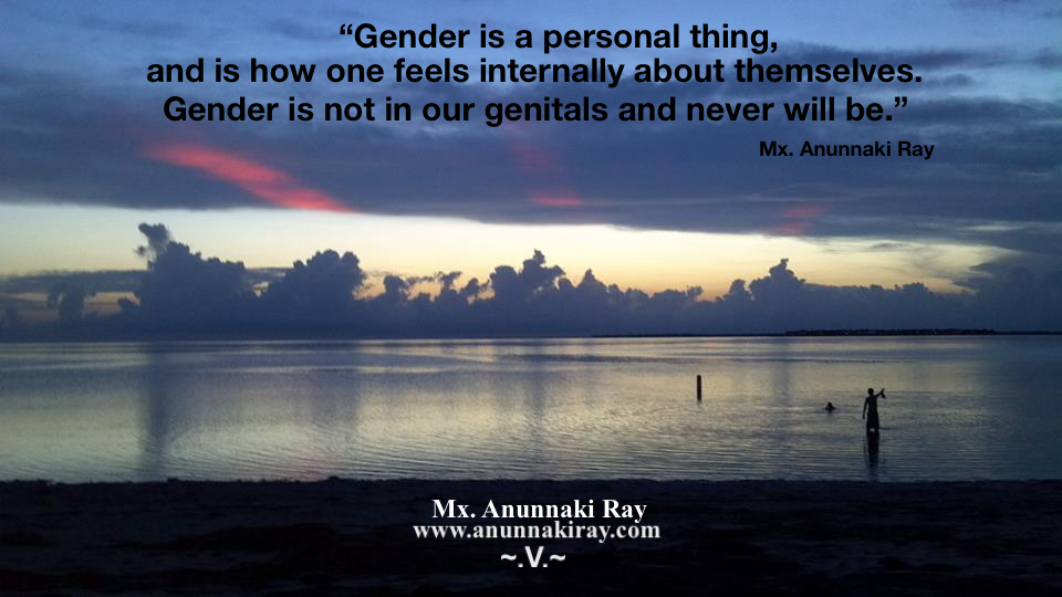 Gender is Not in our Genitals