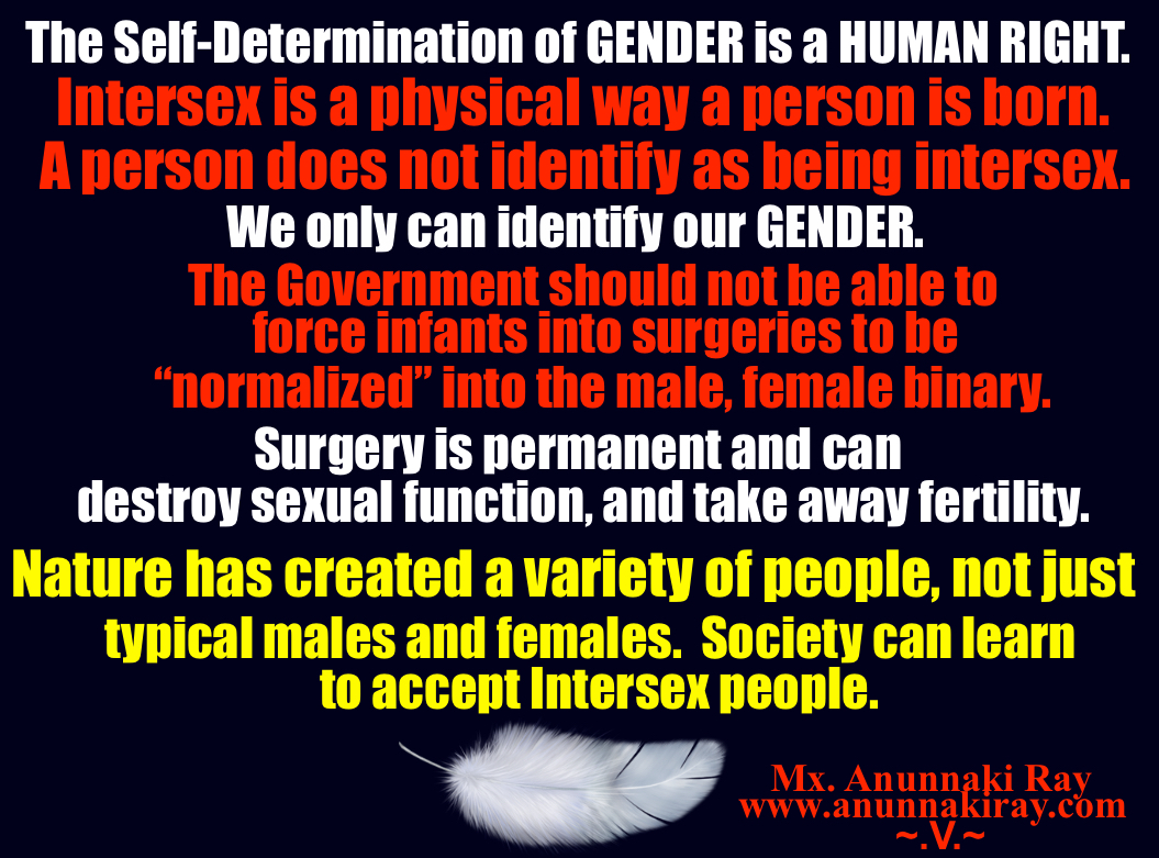 The Government Should Not be Allowed