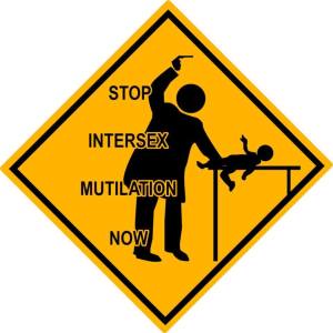 13254043_649563678527418_7820654801690373902_n