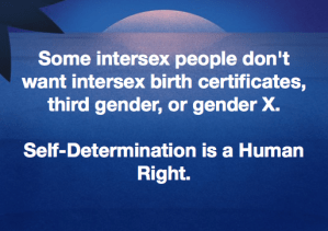 Screen Shot 2018-01-30 at 1.50.57 PM