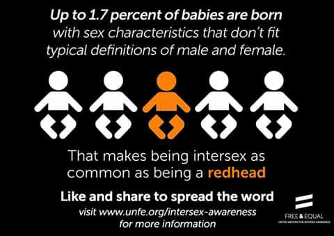 16299464_10212267706466896_1893022548312906021_n