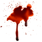 580b585b2edbce24c47b294a