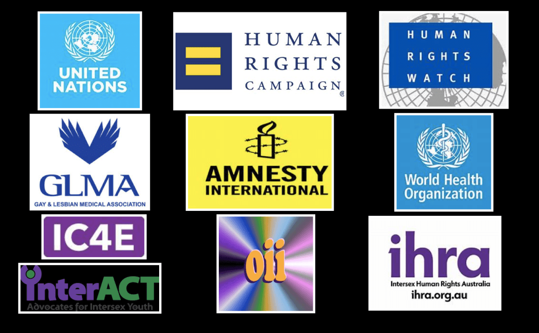 Screen Shot 2018-09-28 at 2.49.55 PM