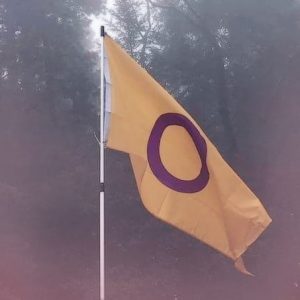 The intersex pride flag.
