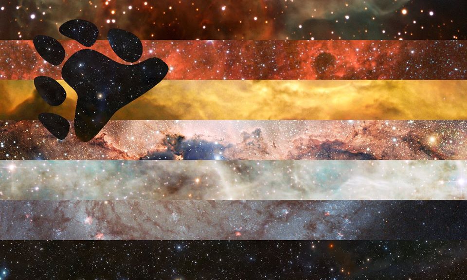 Bear PRIDE Flag | Pride Space Flags by Laurie Raye